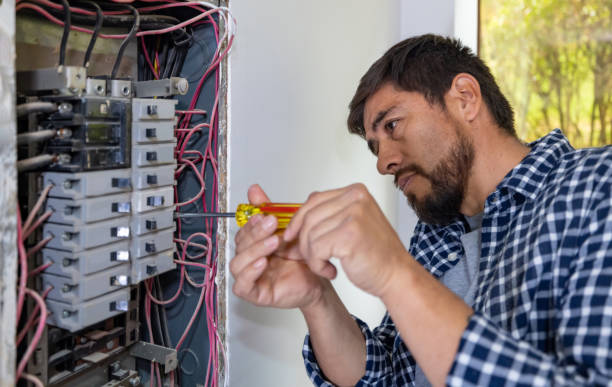 Best Local Electrician Companies  in Tylertown, MS